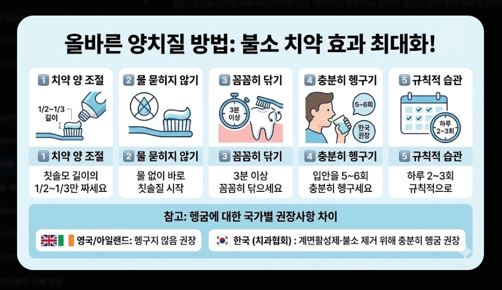 안전한 치약 추천(성분, 선택 기준)(2026년 + TOP 5)
