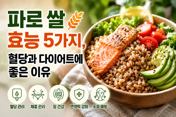 파로 쌀의 효능, 왜 안티에이징 식단으로 주목받을까?