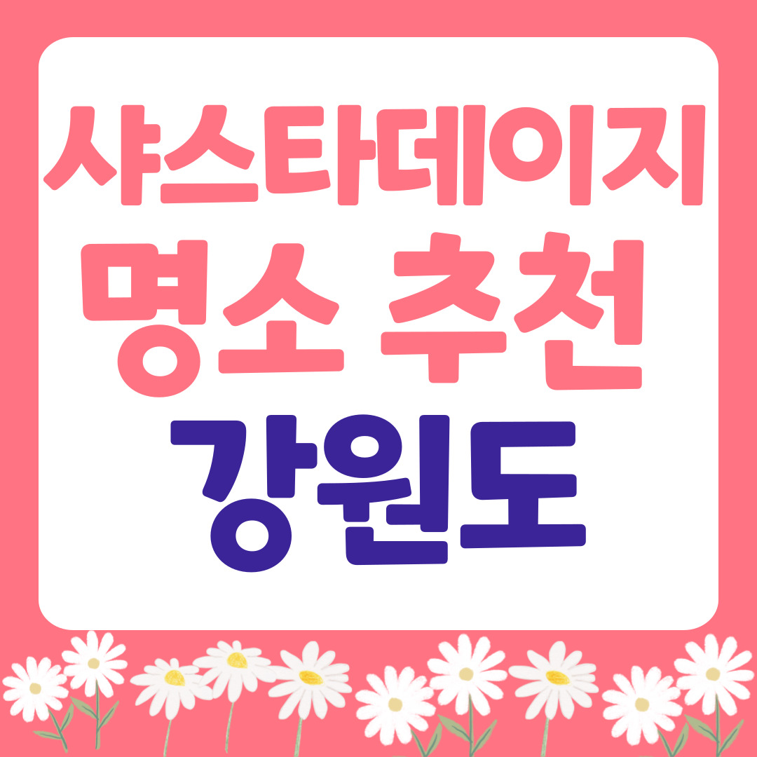 강원도 샤스타데이지 명소 추천 관련 사진