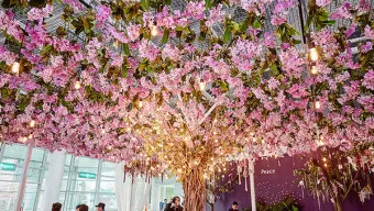 고양 꽃박람회 입장료 사전예약 가는길_24