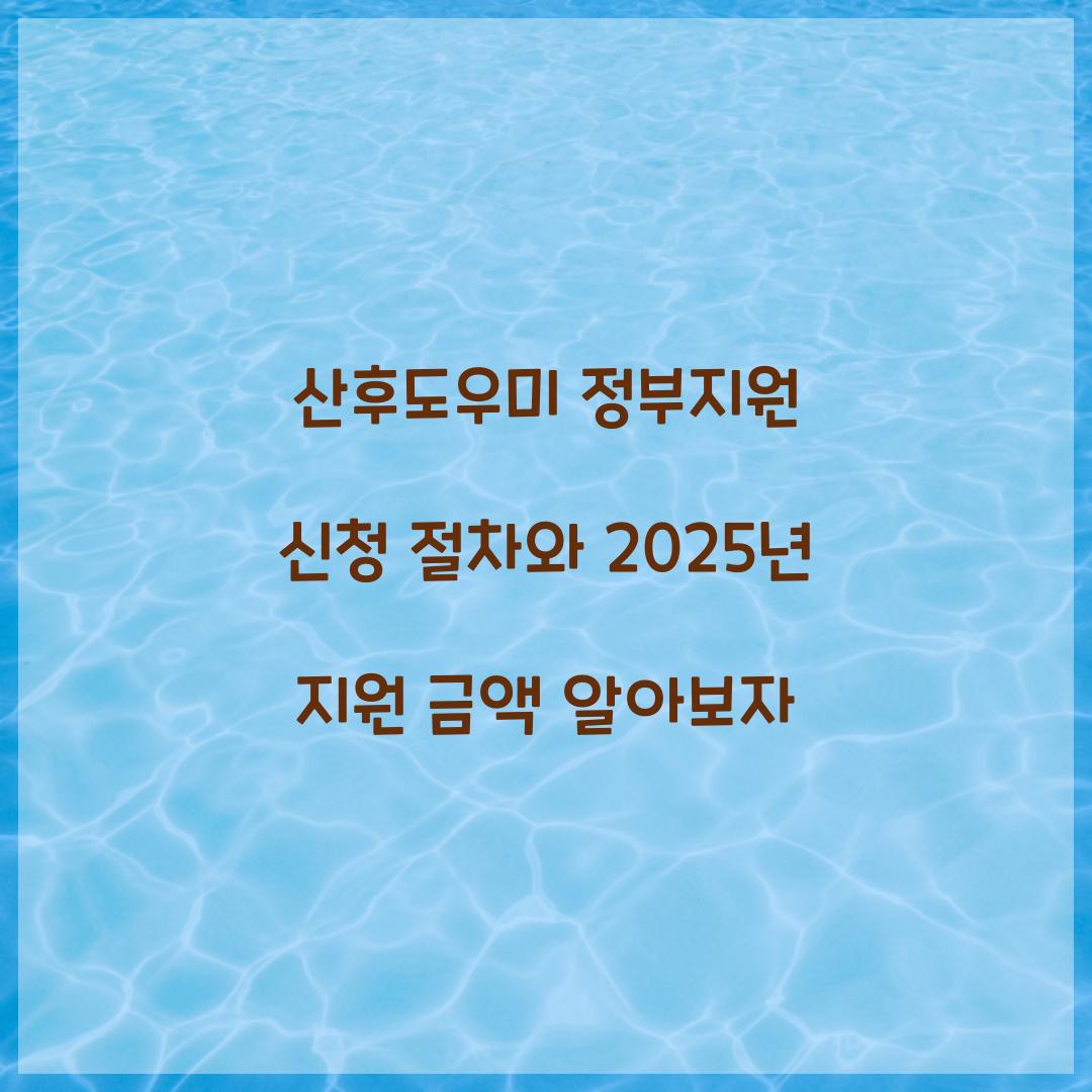 산후도우미 정부지원