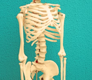 허리 디스크 치료법 진단 기준 예방법