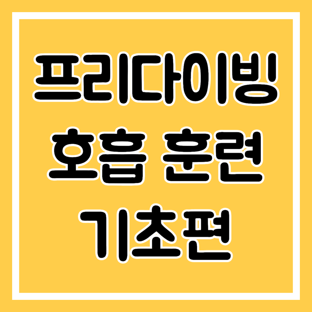 프리다이빙 호흡훈련 기초편