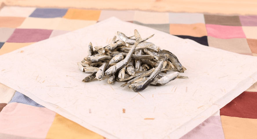 허리에 좋은 음식 마른 멸치가 놓여 있다