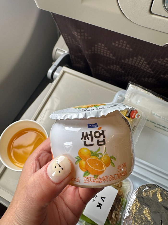 대한항공 일반석 이코노미석 인천 삿포로행 KE765편 A330-300 좌석 및 기내식, 특별기내식 K-채식 한국식 비건 메뉴