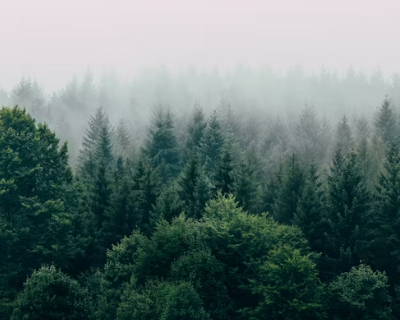 정부24 홈페이지1