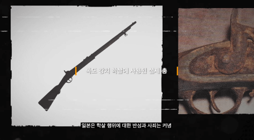 독도 강치