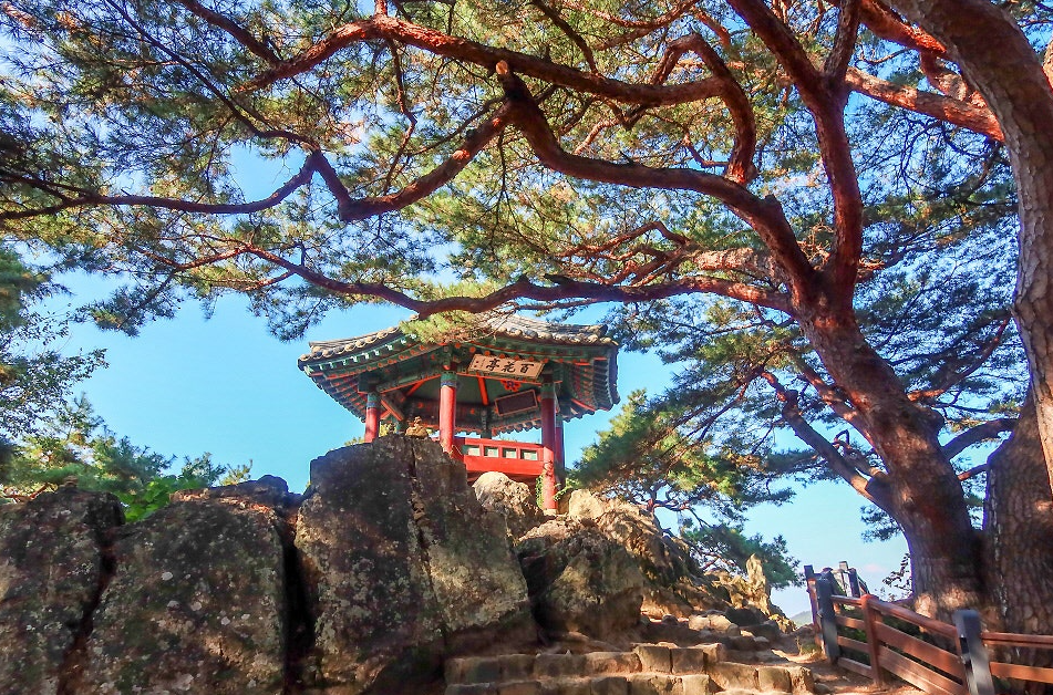 낙화암