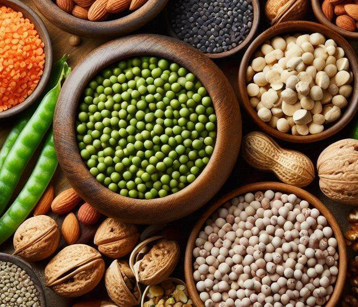 불용성 단백질 음식