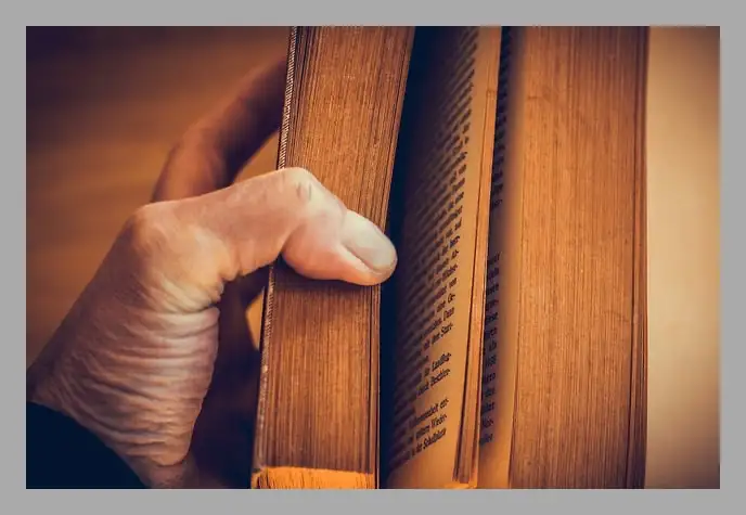 한강 채식주의자