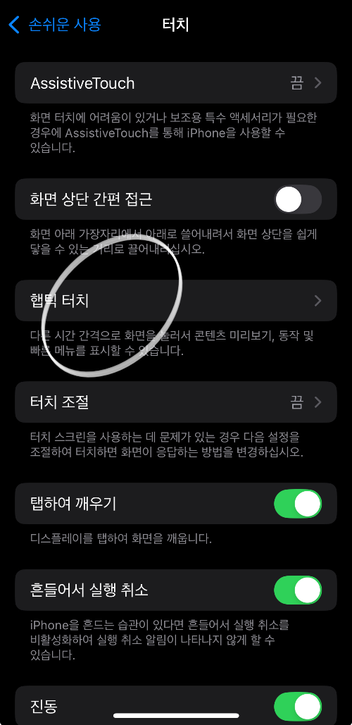 손쉬운 사용 터치 기능 중 햅틱 터치 선택