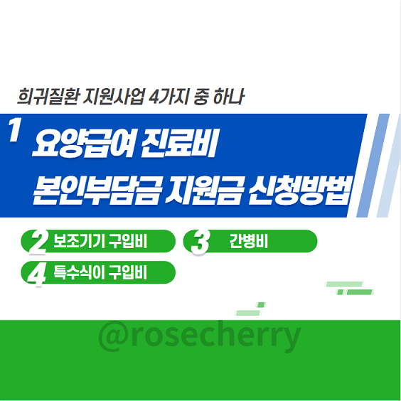 희귀질환의료비지원사업-첫번째-요양급여진료비-본인부담금-지원금-신청방법