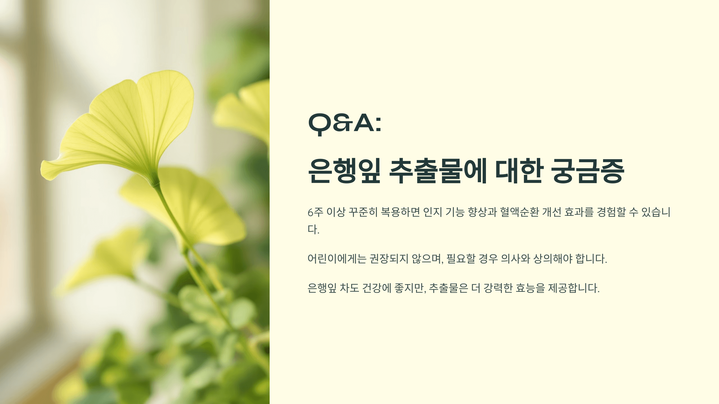 은행잎 사진입니다.