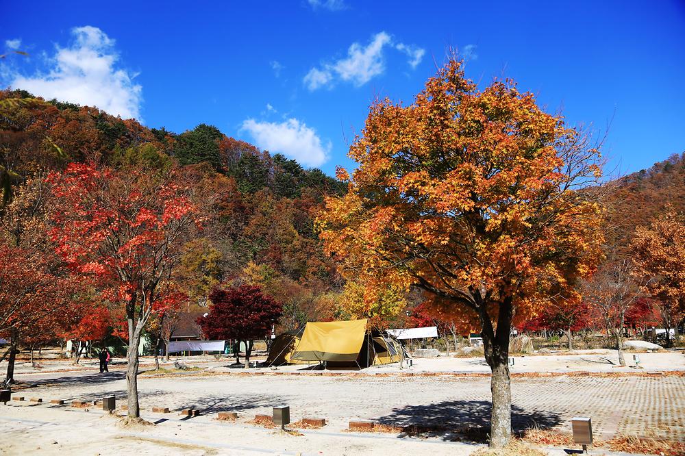 지리산 달궁자동차야영장
전북 남원시 산내면 덕동리 274