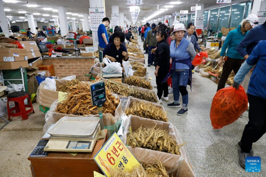 금산 인삼축제 가을 여행 팁