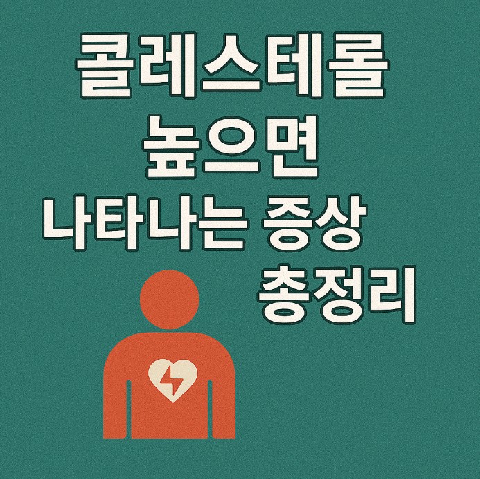 콜레스테롤 높으면 나타나는 증상 총정리