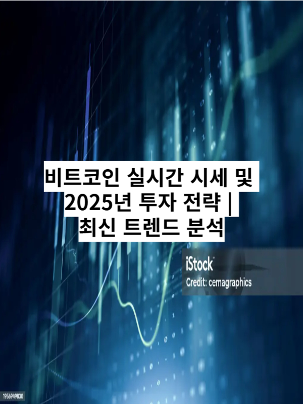 비트코인 실시간 시세 및 2025년 투자 전략 가이드