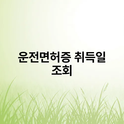 운전면허증 취득일 조회
