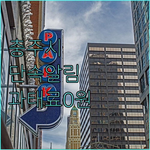 충주시 주정차 단속 문자 알림 서비스..