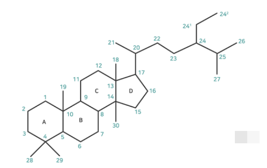 스테로이드, 호르몬과 약물의 두 얼굴