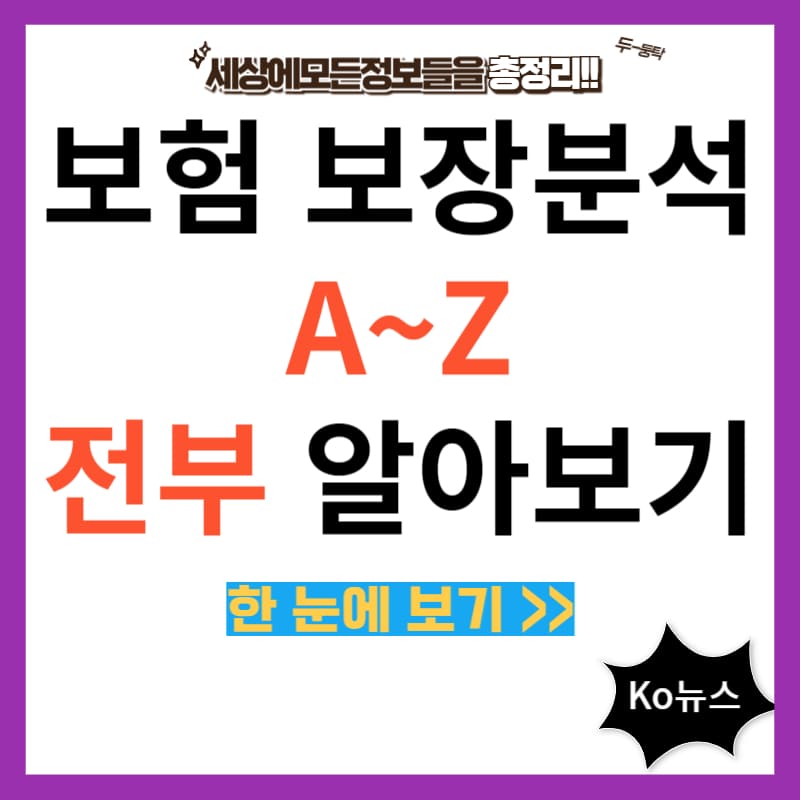 보험-보장분석