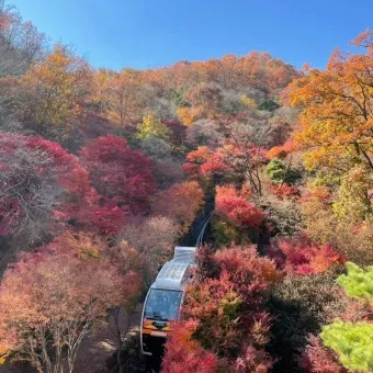 화담숲 예약하기 예약 방법 입장료 모노레일_5