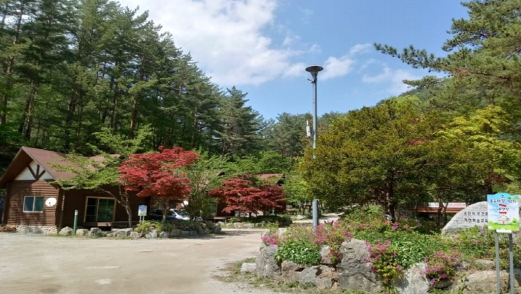 태백고원 자연휴양림