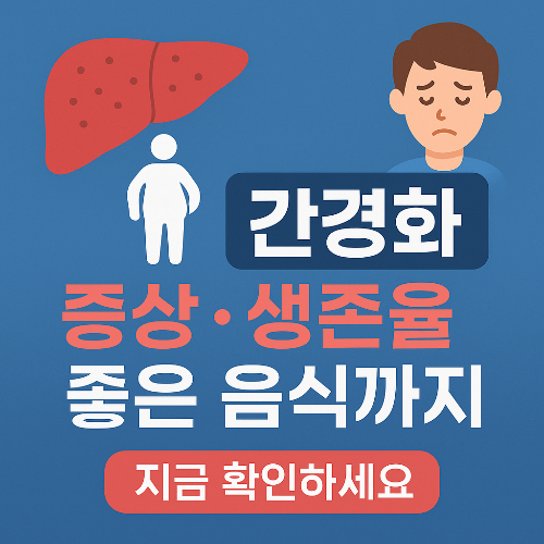 간경화 초기증상부터 4기 말기까지 증상, 생존율, 영양제