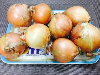 양파 보관법 신선함을 오래 유지하는 건강한 저장 방법까지_7