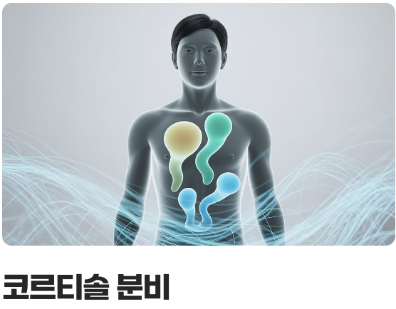 의외의 적군, '만성 스트레스'