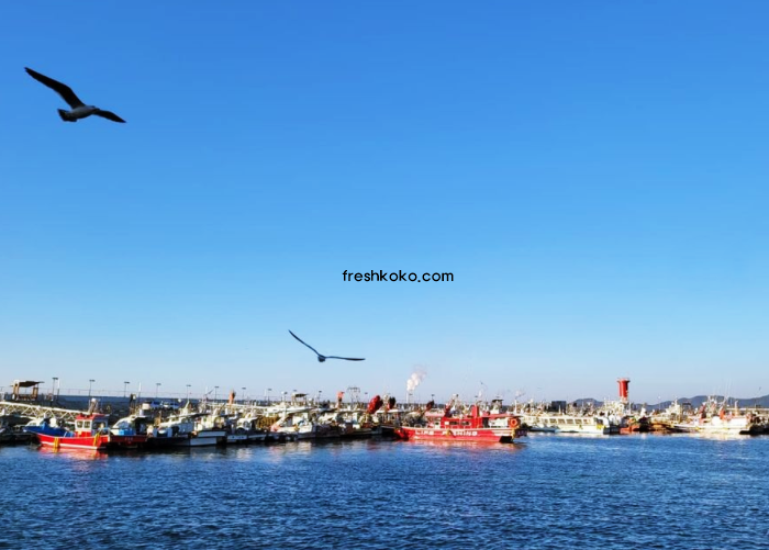 보령 가볼만한곳