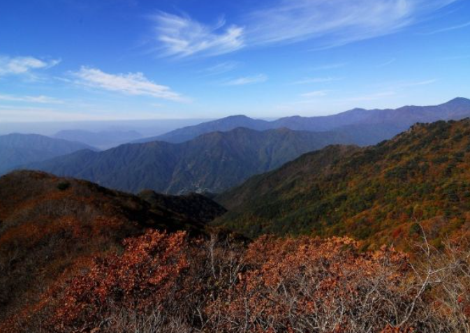 2025 지리산 단풍 절정 시기 & 실시간 현황 + 인기 등산코스 총정리
