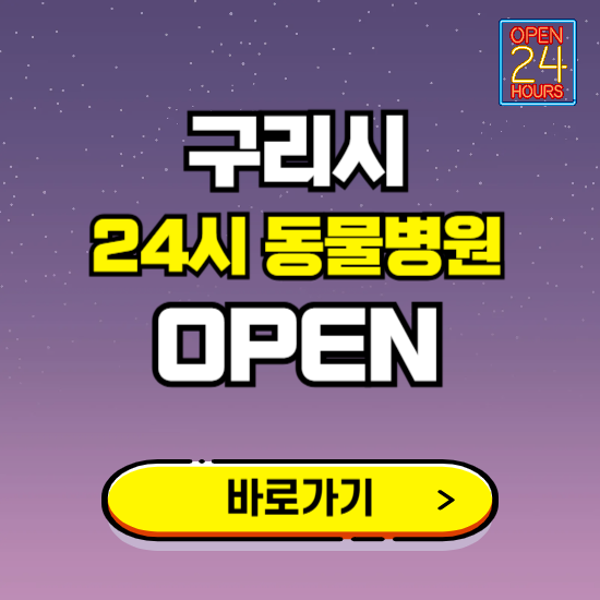 구리시 24시 동물병원 진료하는 곳 ❘ 설날 휴일 야간 심야 문여는곳 찾기 ❘ 응급진료