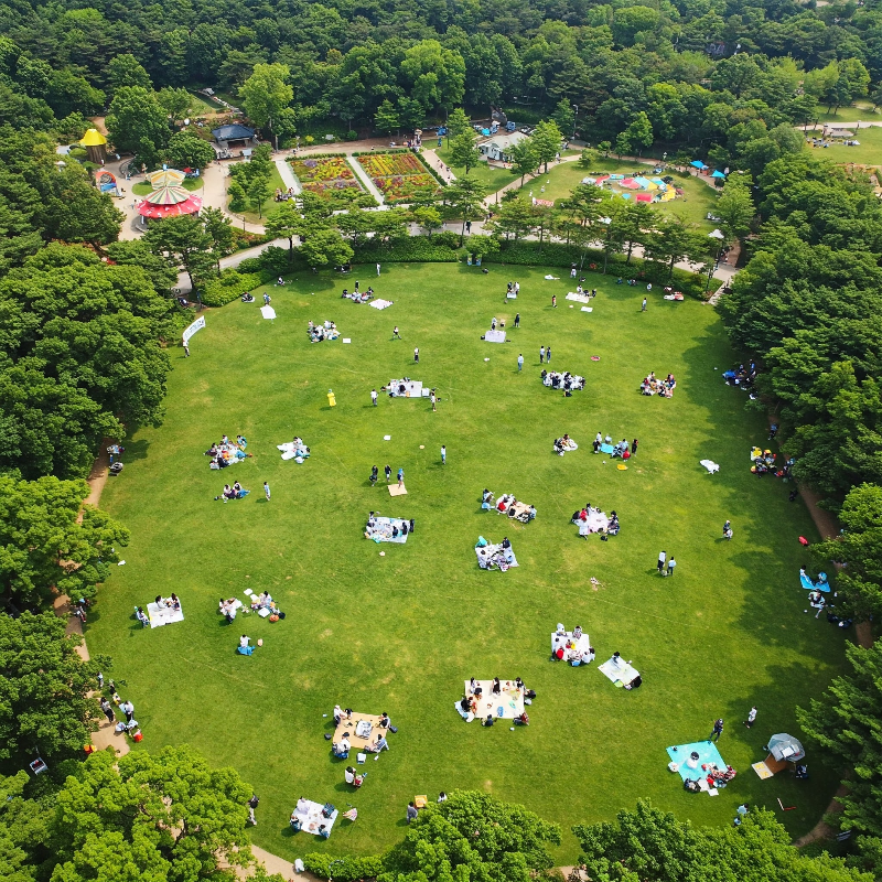 서울숲은 도심 속 대표적인 피크닉 장소로, 넓은 잔디밭과 다양한 테마 공원이 조성되어 있어 취향에 맞는 공간