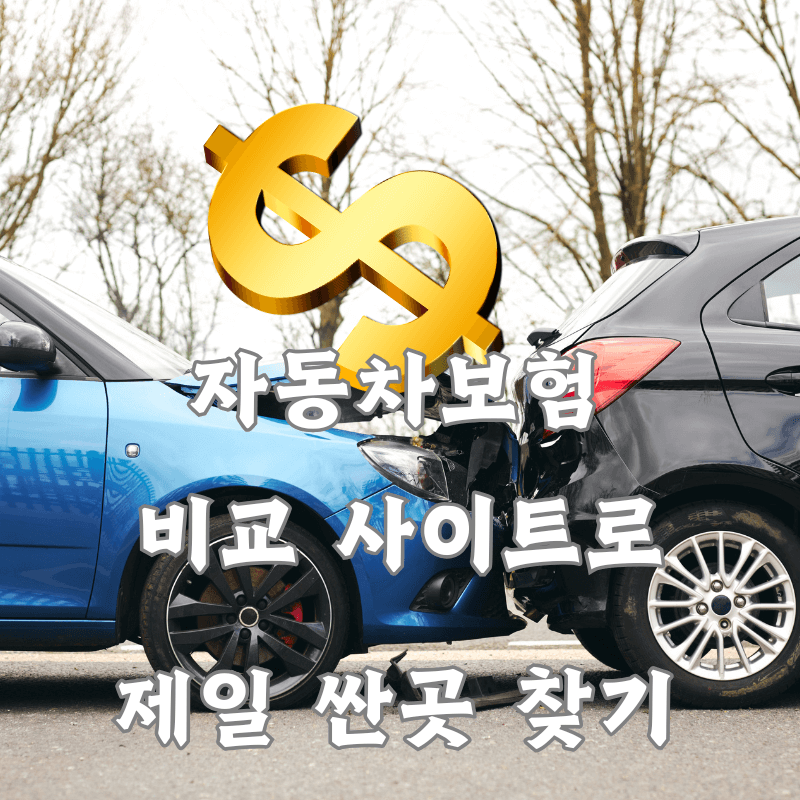 자동차보험 제일 싼곳 찾는 방법