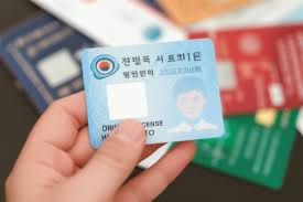 운전면허 분실신고