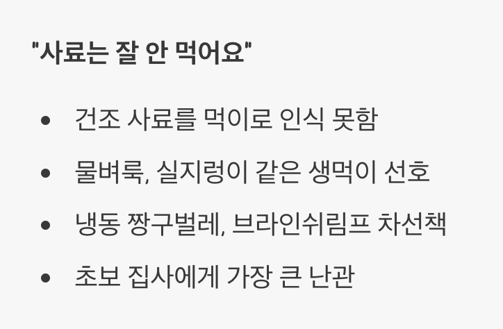 살아있는 먹이만 고집하는 '미식가'