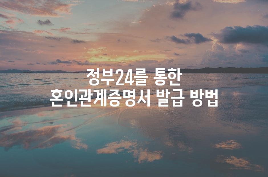 샘플 (81)