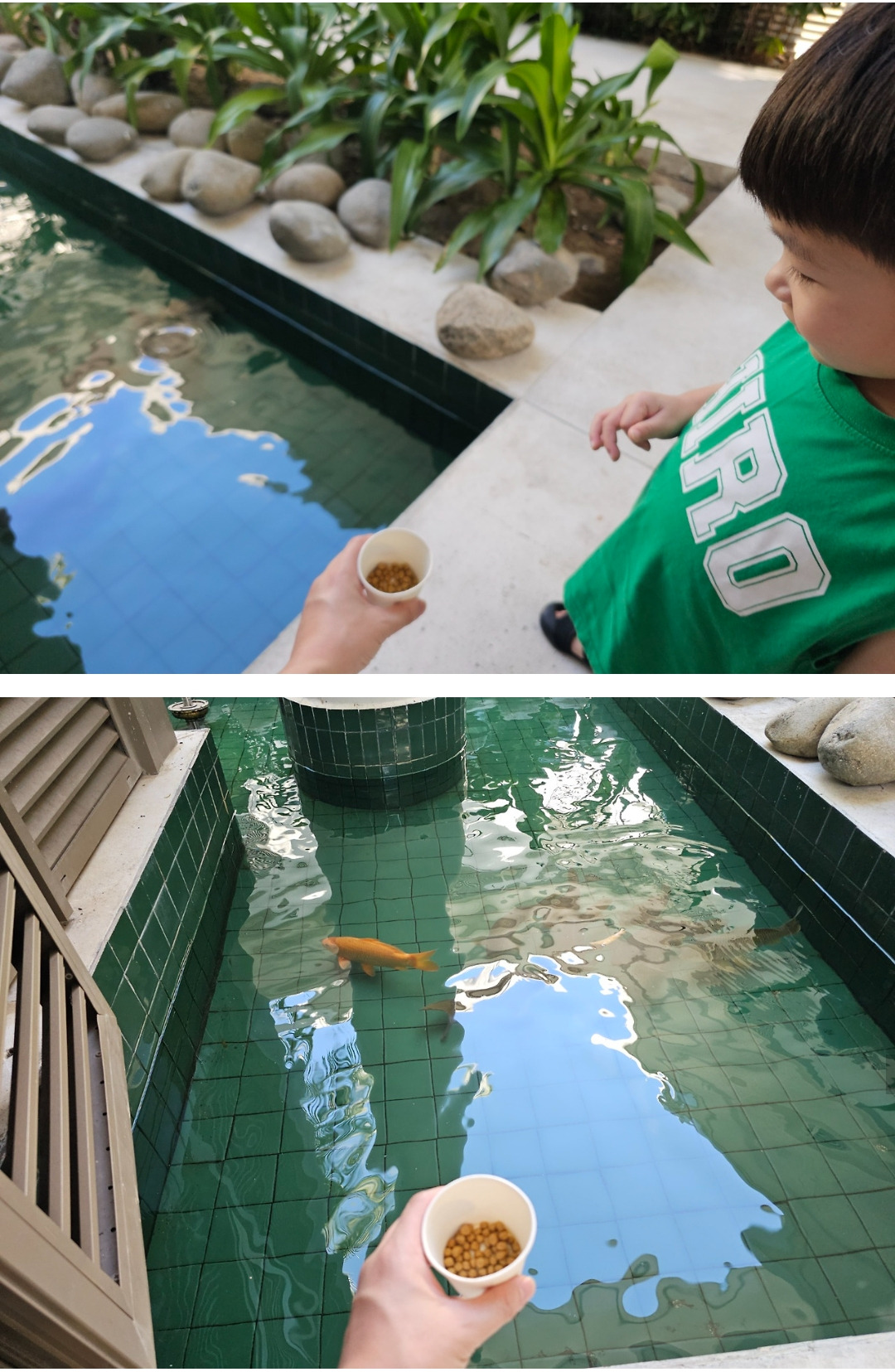 프리미어 빌리지 (이용시설/프로그램/조식 편)