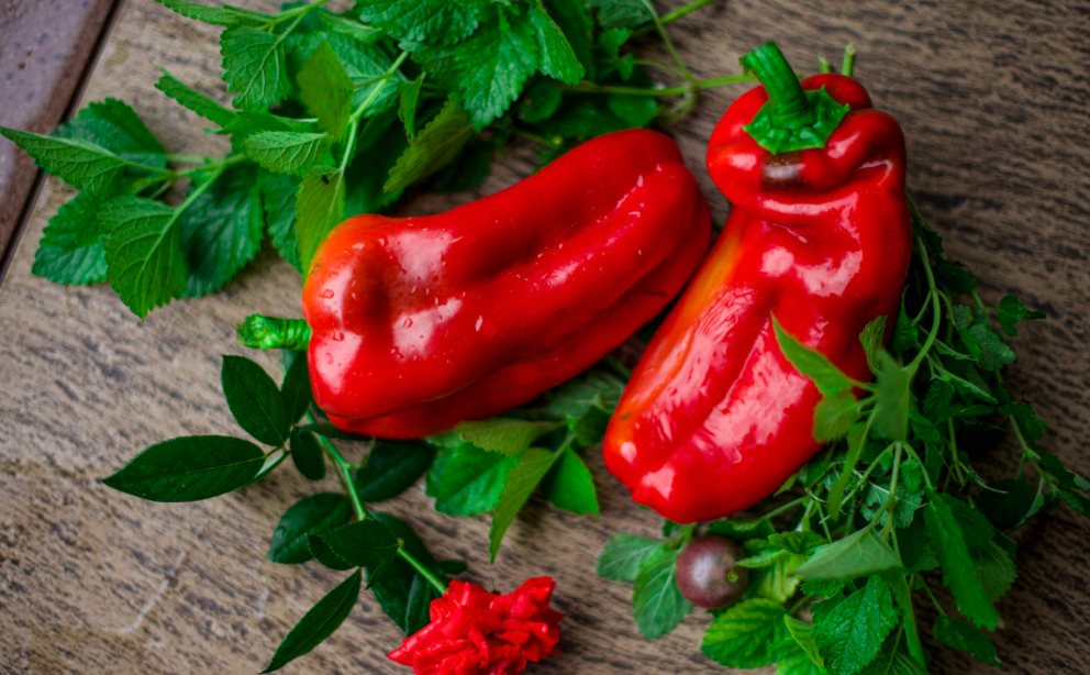 빨간 고추 사진