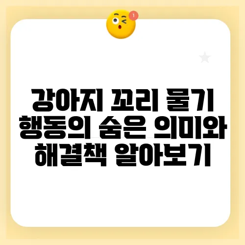 강아지 꼬리 물기 행동의 숨은 의미와 해결책 알아보기