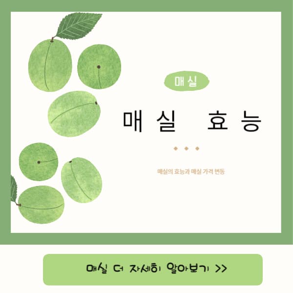 매실-이미지