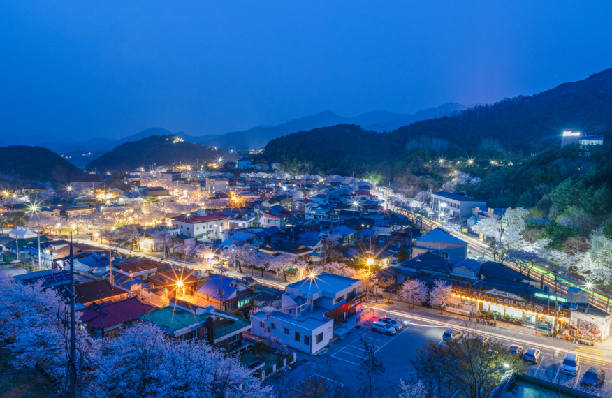 물태리 벚꽃