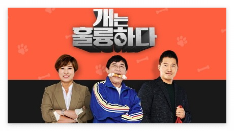 개는 훌륭하다 입질 강형욱 박세리 이경규 훈련 방법 교육