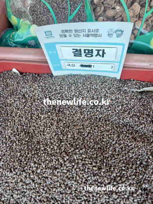 결명자차 효능 대추 생강