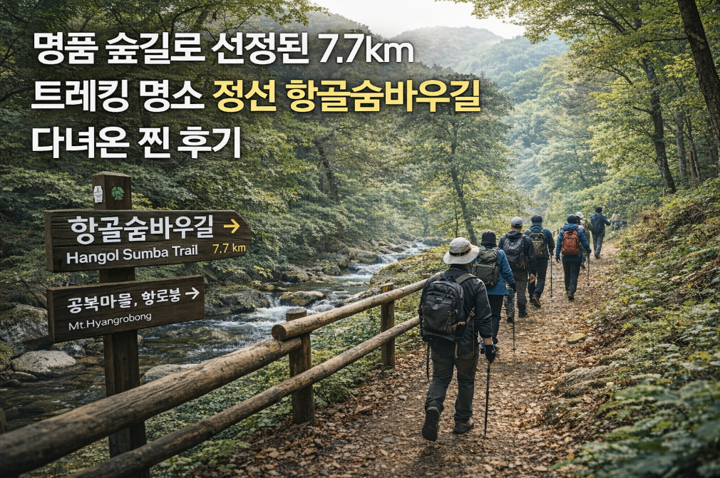 정선 항골숨바우길 7.7km 트레킹 명품 숲길 다녀온 찐 후기