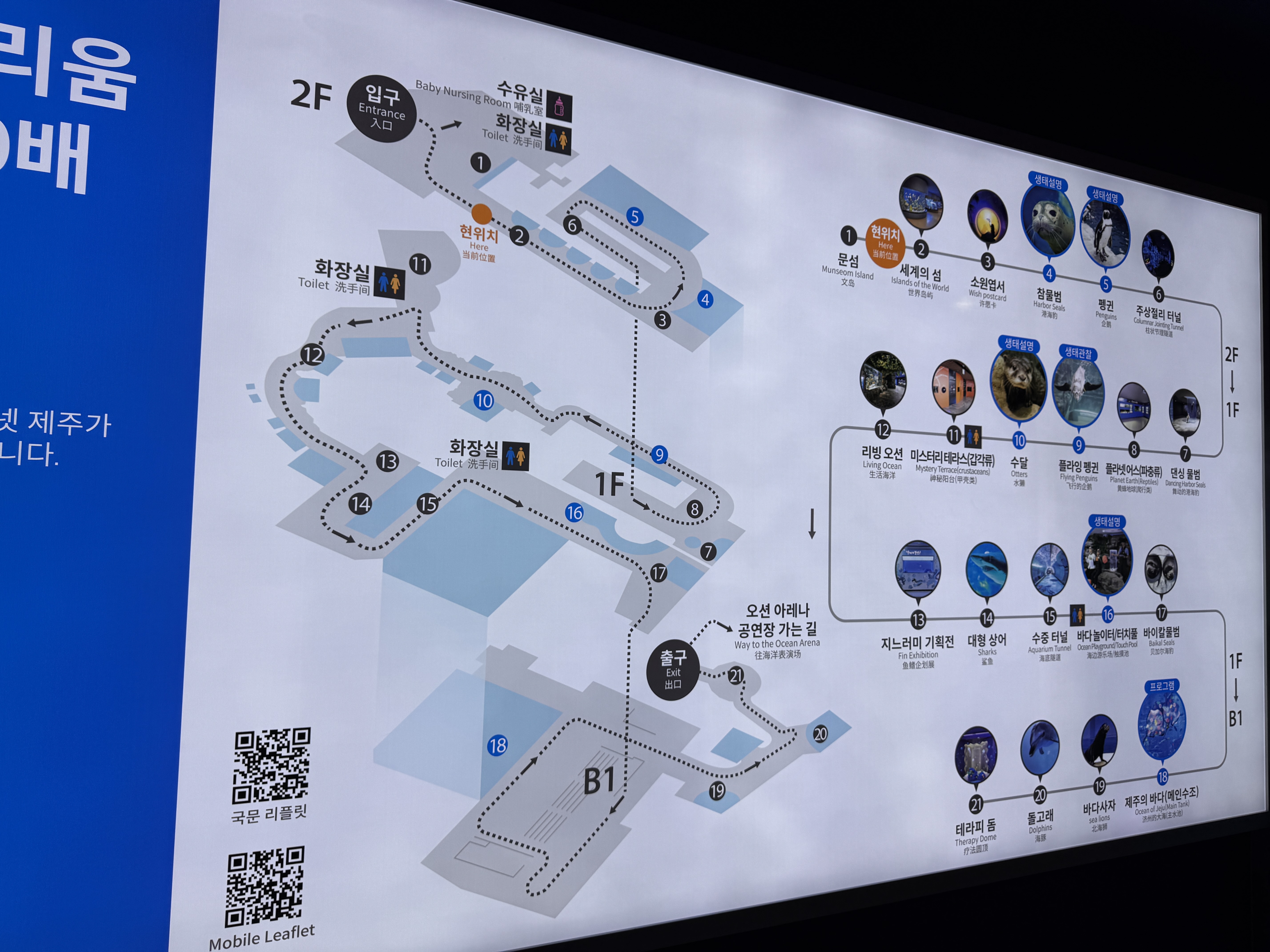 제주 아쿠아플라넷