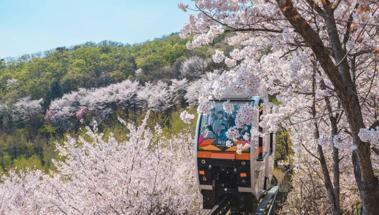 화담숲 사전 예약