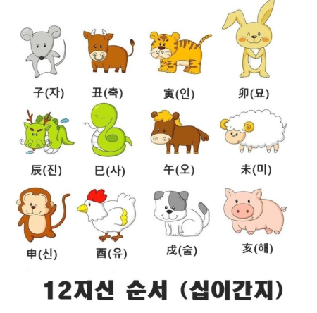 2026년 띠별 운세