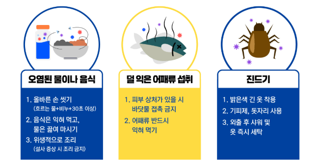 2025 코로나 증상 총정리｜여름 감기와 헷갈리면 위험!